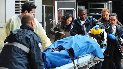"Greys Anatomy" 6 season 16-th episode