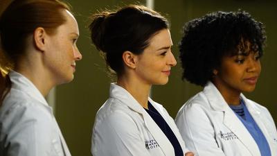 "Greys Anatomy" 12 season 17-th episode