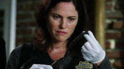 "CSI" 12 season 13-th episode
