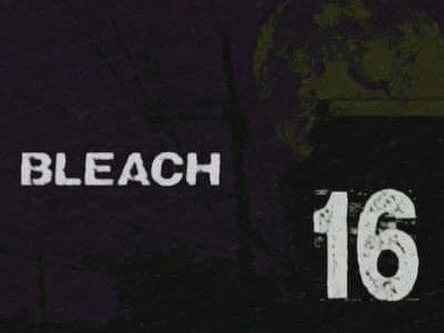Бліч / Bleach (2004), Серія 16