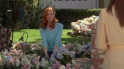 Episode 21, Desperate Housewives (2004)