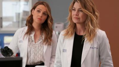 "Greys Anatomy" 14 season 14-th episode