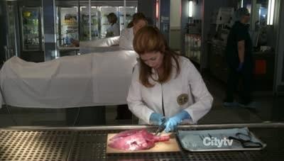 Episode 3, Body of Proof (2011)
