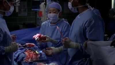 "Greys Anatomy" 7 season 2-th episode