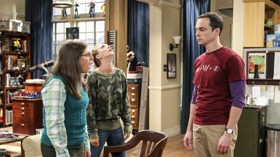"The Big Bang Theory" 10 season 5-th episode