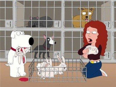 Серія 1, Сім'янин / Family Guy (1999)