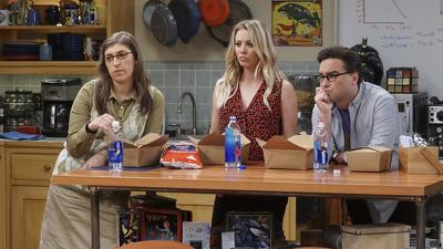 Episode 9, The Big Bang Theory (2007)