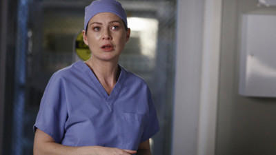 "Greys Anatomy" 6 season 24-th episode
