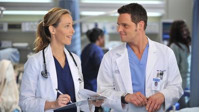 "Greys Anatomy" 8 season 18-th episode