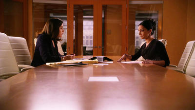 Episode 22, The Good Wife (2009)