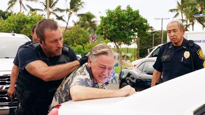 13 серія 8 сезону "Поліція Гаваїв"
