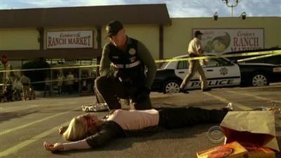 Серія 10, CSI (2000)
