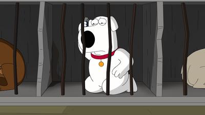 "Family Guy" 16 season 15-th episode