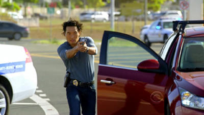 Серія 14, Поліція Гаваїв / Hawaii Five-0 (2010)