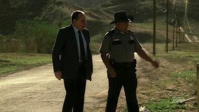 CSI (2000), Серія 22