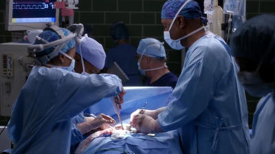 "Greys Anatomy" 13 season 9-th episode