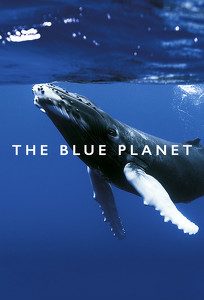 BBC: Голубая планета / The Blue Planet (2001)