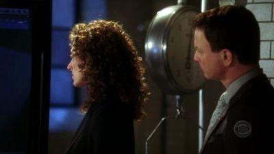 "CSI: New York" 1 season 16-th episode