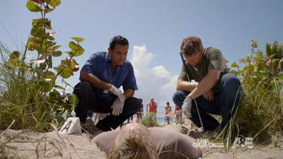 Episode 11, The Glades (2010)
