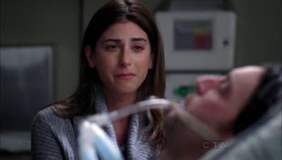 "Greys Anatomy" 8 season 14-th episode
