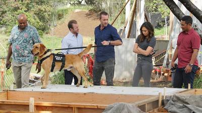 "Hawaii Five-0" 8 season 16-th episode