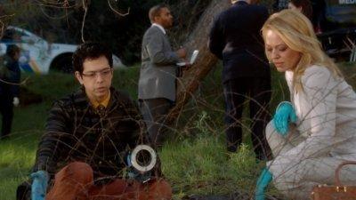 Episode 13, Body of Proof (2011)