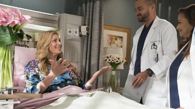 "Greys Anatomy" 14 season 16-th episode