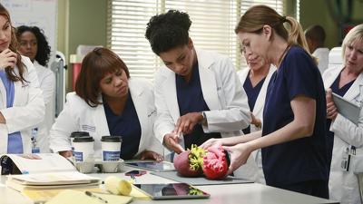 "Greys Anatomy" 11 season 10-th episode