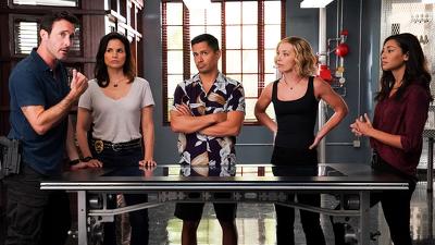 12 серія 10 сезону "Поліція Гаваїв"
