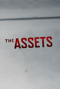 Активы / The Assets (2014)