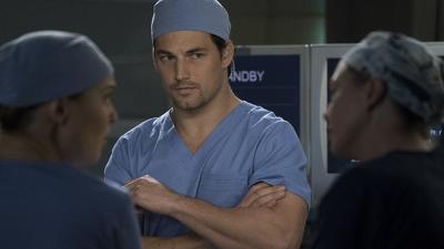 "Greys Anatomy" 14 season 19-th episode