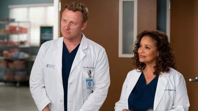 "Greys Anatomy" 15 season 20-th episode