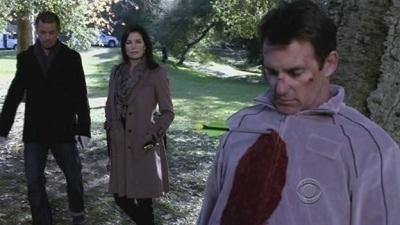 Серия 13, Место преступления Нью-Йорк / CSI: New York (2004)