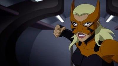 "Young Justice" 3 season 8-th episode