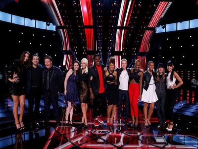 Episode 16, The Voice (2011)