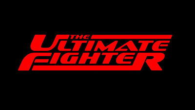 "Ultimate Fighter" 20 season 12-th episode