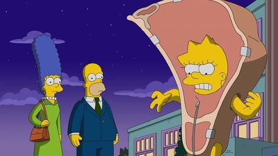 "The Simpsons" 30 season 9-th episode