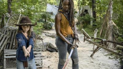 "The Walking Dead" 10 season 8-th episode