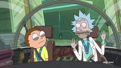 "Rick and Morty" 3 season 6-th episode