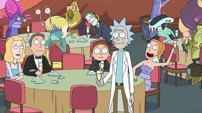 "Rick and Morty" 3 season 9-th episode