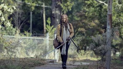 "The Walking Dead" 9 season 14-th episode