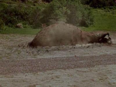 Tremors (2003), Episode 11