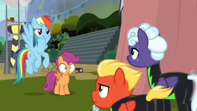 20 серія 8 сезону "My Little Pony: Дружба - це диво"