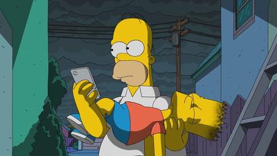 "The Simpsons" 29 season 21-th episode