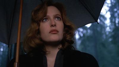 Episode 14, The X-Files (1993)