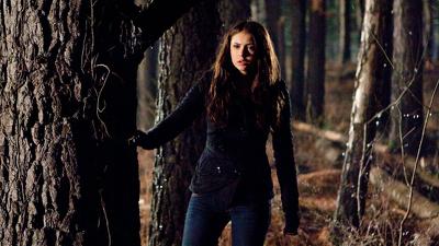 "The Vampire Diaries" 1 season 17-th episode