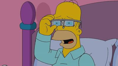 "The Simpsons" 25 season 11-th episode