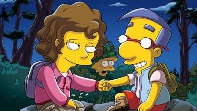 "The Simpsons" 22 season 20-th episode