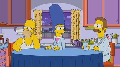 "The Simpsons" 29 season 19-th episode