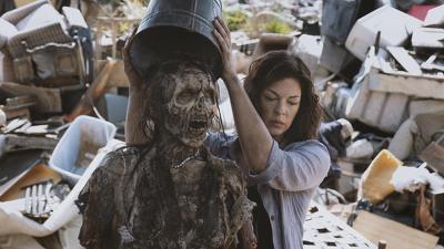 "The Walking Dead" 9 season 4-th episode